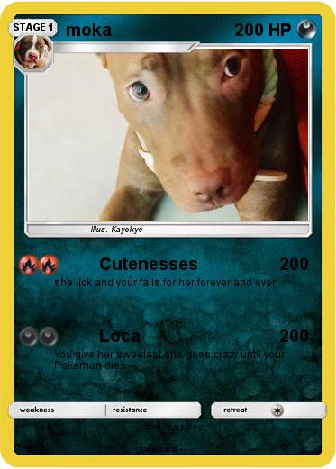 Pokemon moka