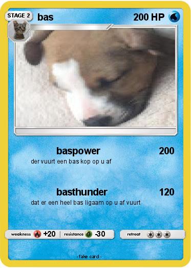 Pokemon bas