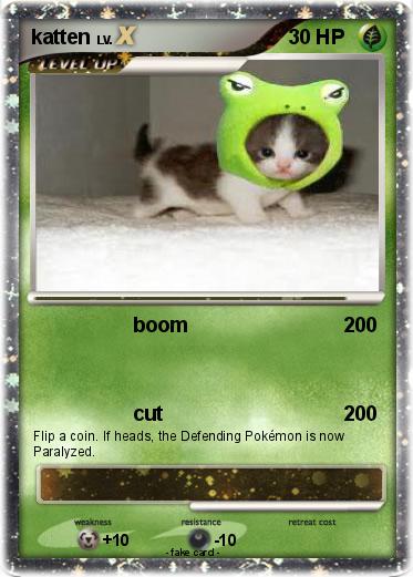 Pokemon katten