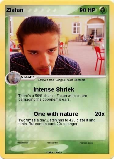 Pokemon Zlatan