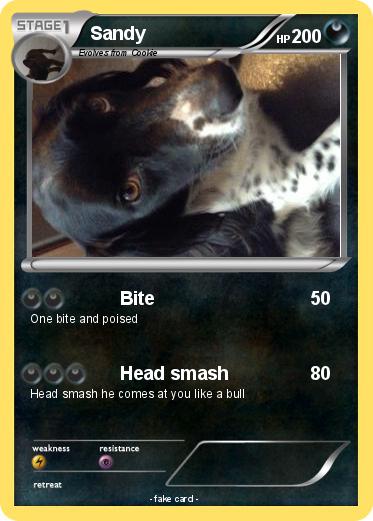 Pokemon Sandy