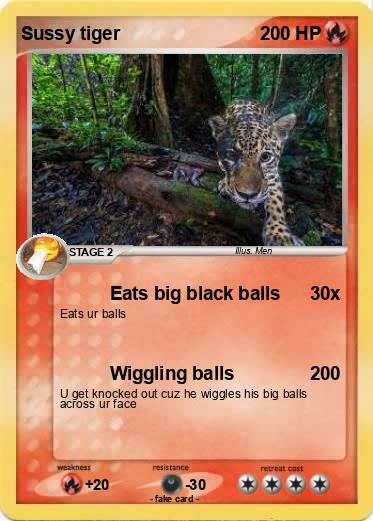 Pokemon Sussy tiger