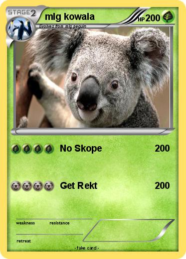 Pokemon mlg kowala