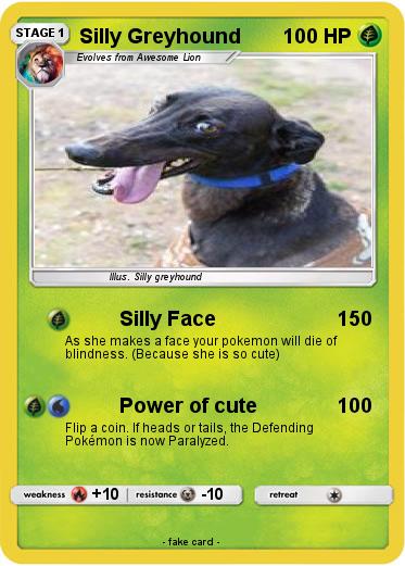 Pokemon Silly Greyhound