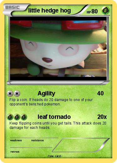 Pokemon little hedge hog