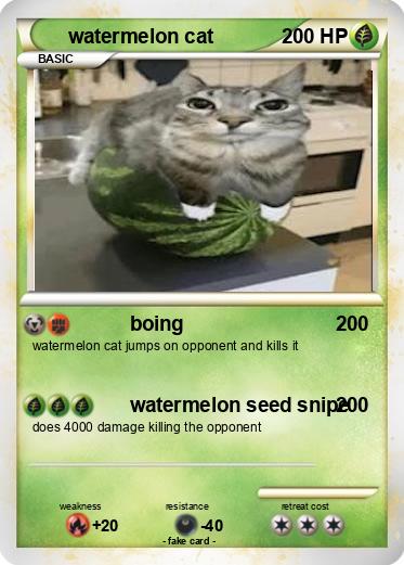 Pokemon watermelon cat