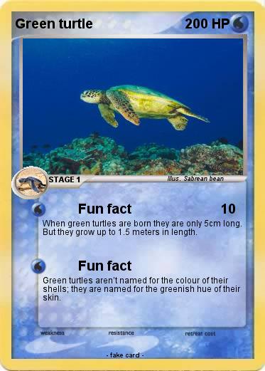 Pokemon Green turtle