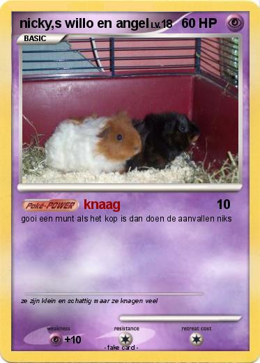 Pokemon nicky,s willo en angel