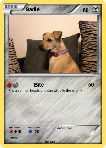 Pokemon Sadie