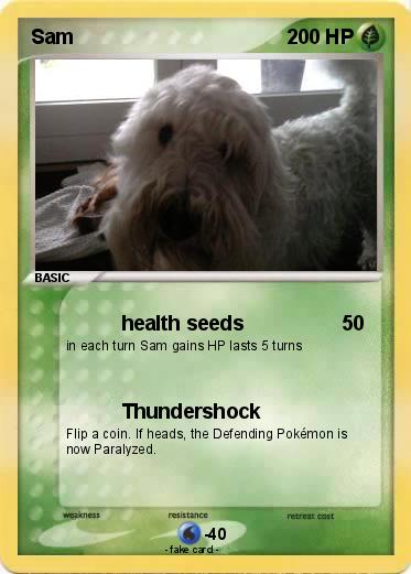 Pokemon Sam