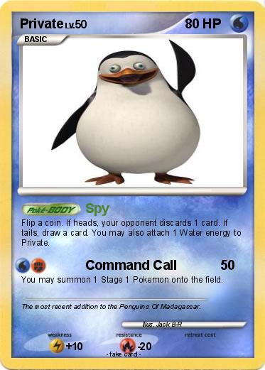 Pokemon Private