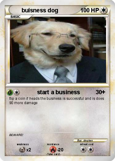 Pokemon buisness dog