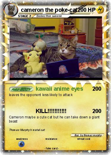 Pokemon cameron the poke-cat