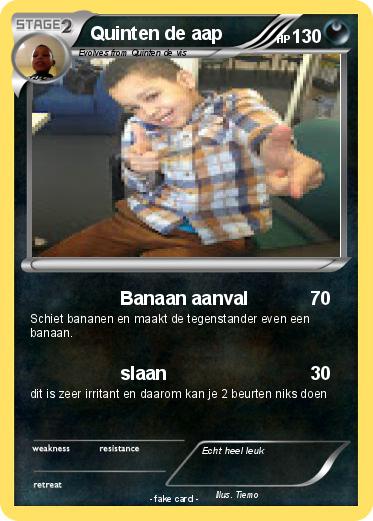 Pokemon Quinten de aap