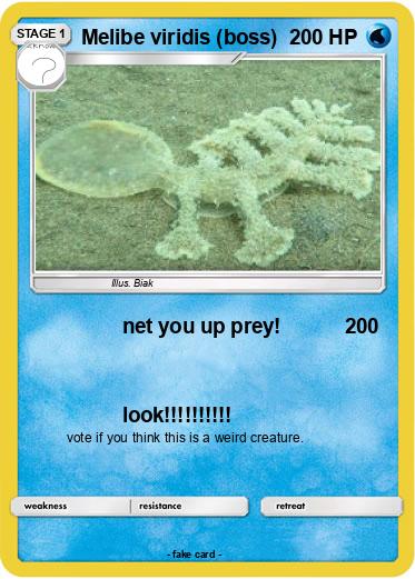 Pokemon Melibe viridis (boss)
