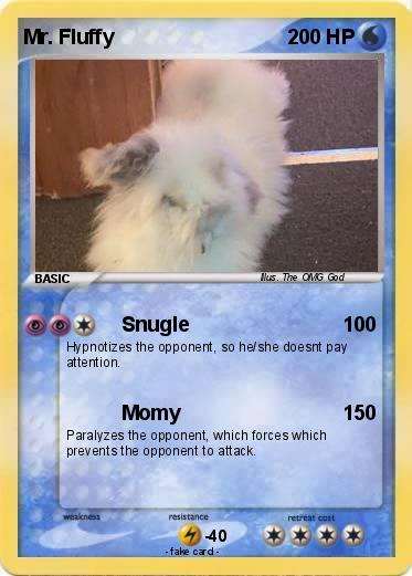 Pokemon Mr. Fluffy