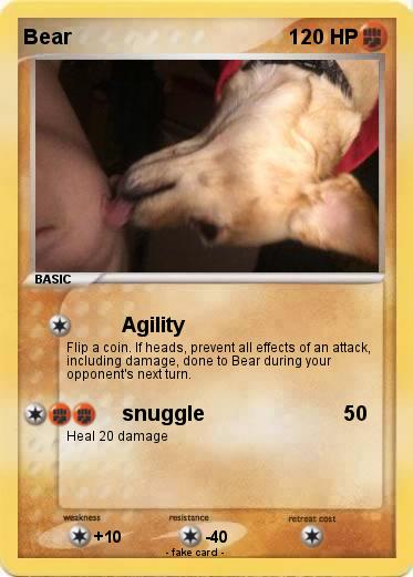 Pokemon Bear