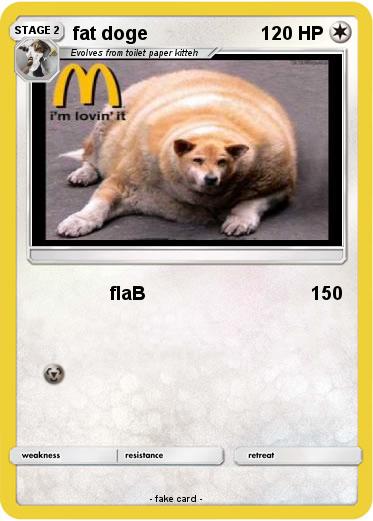 Pokemon fat doge