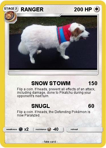 Pokemon RANGER