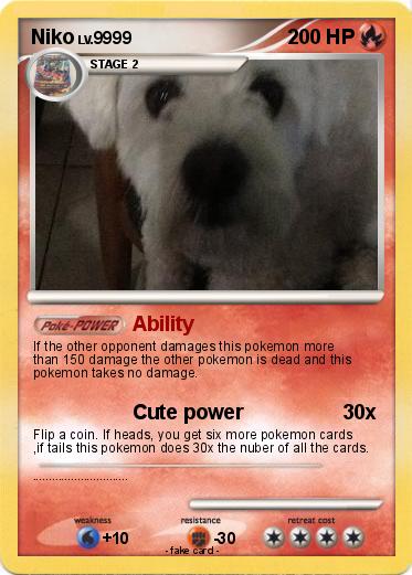 Pokemon Niko