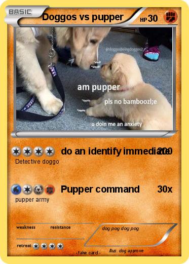 Pokemon Doggos vs pupper