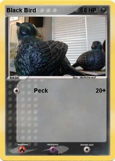 Pokemon Black Bird