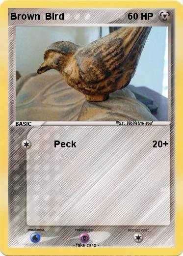 Pokemon Brown  Bird
