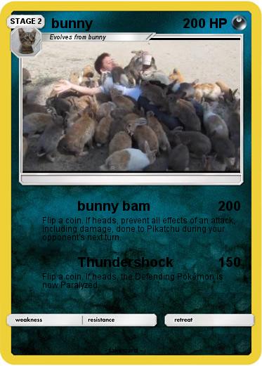 Pokemon bunny