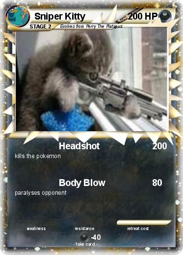 Pokemon Sniper Kitty