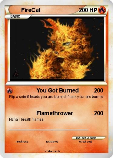 Pokemon FireCat