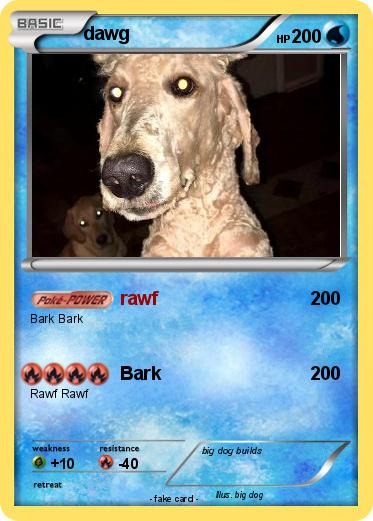 Pokemon dawg