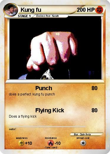 Pokemon Kung fu
