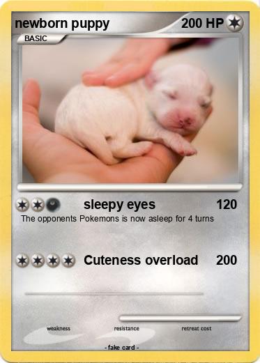 Pokemon newborn puppy
