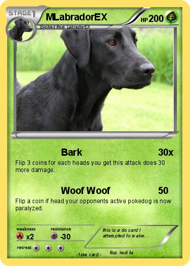 Pokemon MLabradorEX