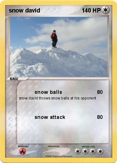 Pokemon snow david