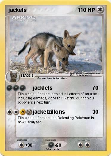 Pokemon jackels