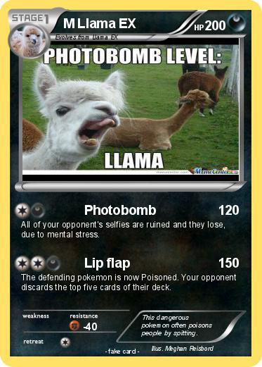 Pokemon M Llama EX