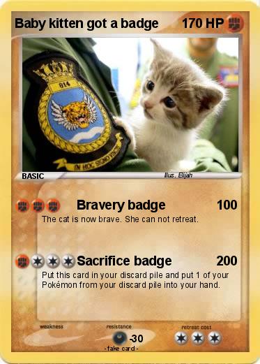 Pokemon Baby kitten got a badge