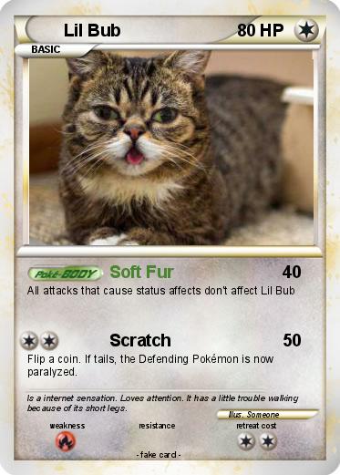 Pokemon Lil Bub