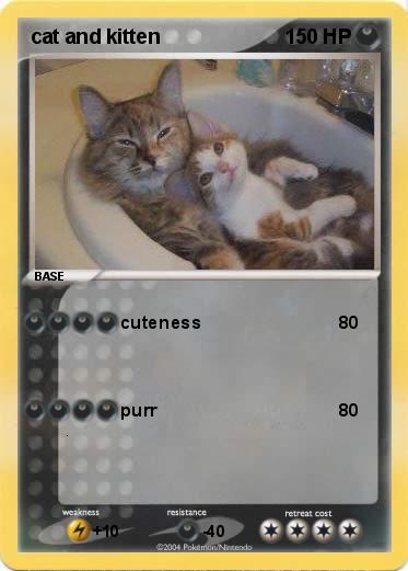 Pokemon cat and kitten