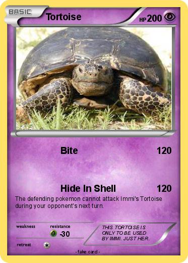 Pokemon Tortoise