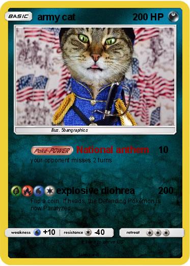 Pokemon army cat
