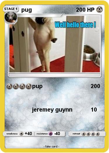 Pokemon pug
