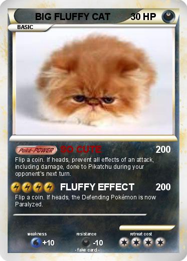 Pokemon BIG FLUFFY CAT