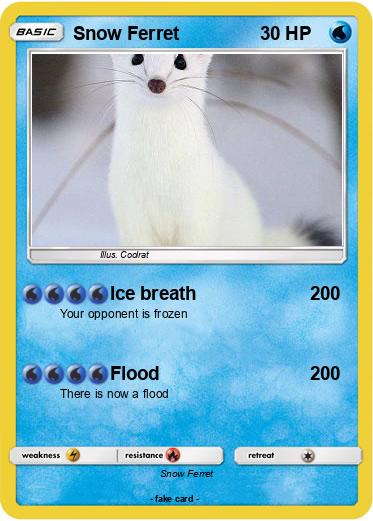 Pokemon Snow Ferret