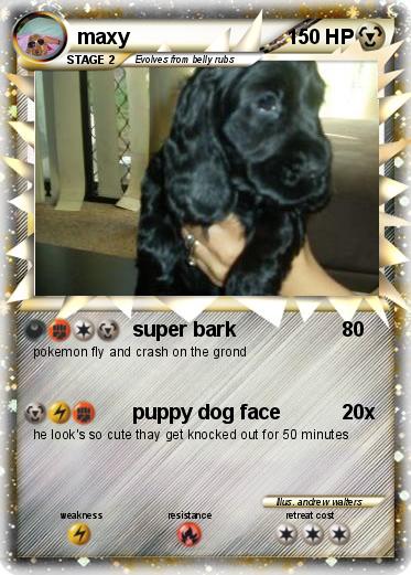 Pokemon maxy