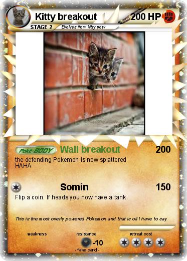 Pokemon Kitty breakout