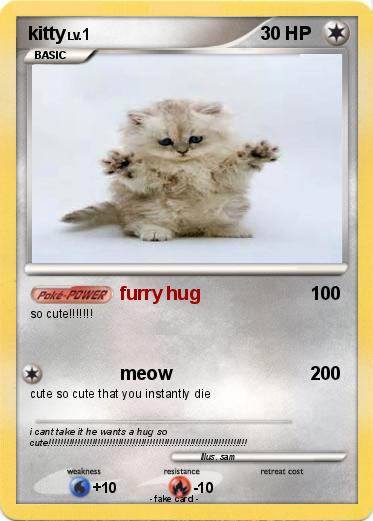 Pokemon kitty