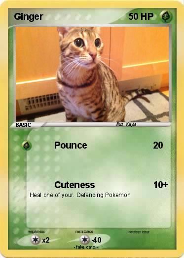 Pokemon Ginger