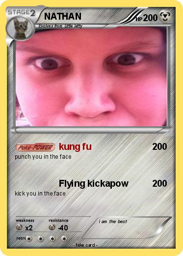 Pokemon NATHAN
